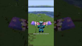 Elytra's  need more customization