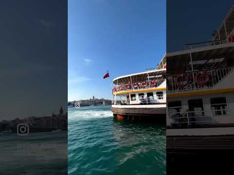 وحشاني الد نيا ف بلدي