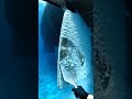 Deep Sea Rail Restoration: Heavy Metal Scrape 🚢⛏️