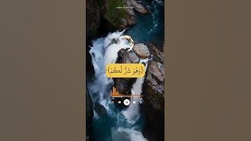 أحمد العجمي/وَعَسَىٰٓ أَن تَكْرَهُوا۟ شَيْـًٔا.. تلاوة خاشعة يخشع له القلب أيات من سورة البقرة ﴿٢١٦﴾