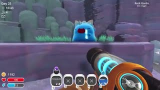 Slime Rancher Indigo Quarry Rock Gordo