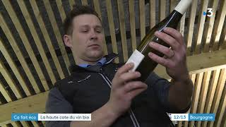 Viticulture : la Bourgogne se met au vin bio petit à petit