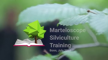 Marteloscope Silviculture Training - Bonn