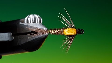 Tying a Hot spot pheasant tail with Barry Ord Clarke