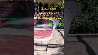 كلما زادت الأجهزة الأمنية قلّ الأمن. مصطفى حجازي اقوال_عالمية