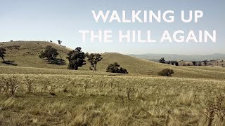 Tom Rosenthal - Walking Up The Hill Again (Lyric Video)