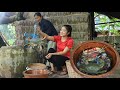 Countryside Life TV: We prepare 2 recipes with mud crabs / Mud crab steamed glass noodle