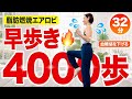 【32分間の脂肪燃焼】滝汗エアロビで血糖値を下げる！室内で4000歩！