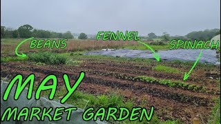 Market Garden BURSTS into MAY LIFE | FARMING UK