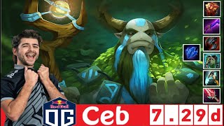 [DOTA 2] OG.Ceb the NATURE'S PROPHET [OFFLANE] [7.29D] [3]