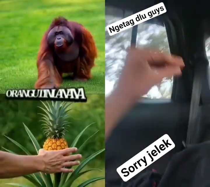 Maaf gaje