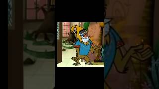 My Gym Partners A Monkey Mr. Mandrill