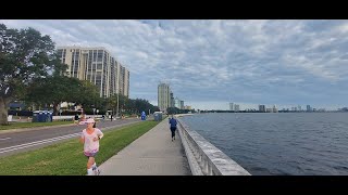 5 hours of Cozy Park Ambience Downtown Tampa Florida