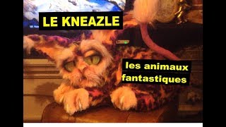 Mes créations Harry Potter : le kneazle (les animaux fantastiques)