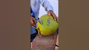 Amazing Coconut Cutting Skills. Natural Big Fresh Coconut Water.#shorts #cuttingskills #coconut #fyp