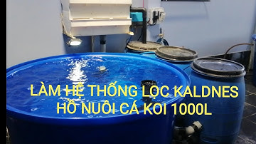 MAKE A FILTER SYSTEM FOR CULTIVATION KOI 1000LIT || LÀM HỆ THỐNG LỌC HỒ NUÔI CÁ KOI 1000LIT