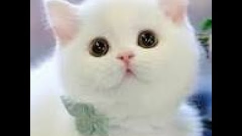 Bài Tập 12 Vi Xử Lý - Thực hiện giao tiếp giữa 2 Vi Điều Khiển qua UART