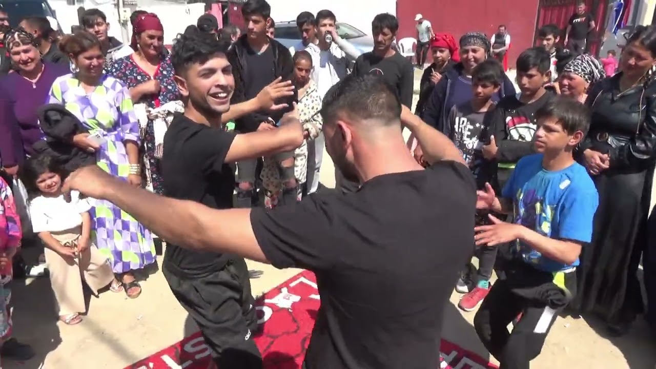 2-HD-Galib si Denisa