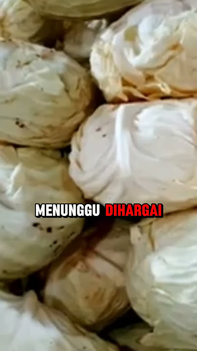 Jangan Pernah Putus Asa | Mbah Nun #caknun #maiyah #storywa
