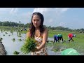 Nagtanim ng palay ng naka dress si miss sinamit