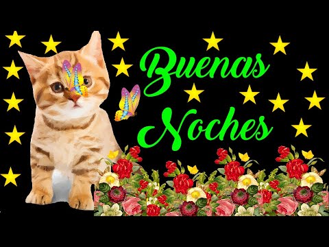 🌜Buenas Noches Hasta Mañana - Que Descanses y que Duermas Bien Abrelo Tiene un Mensaje bonito