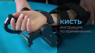 Инструкция по применению «Орторент-кисть»