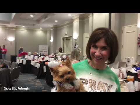 SPARTANBURG SOUTH CAROLINA! Paws In The City May 2022