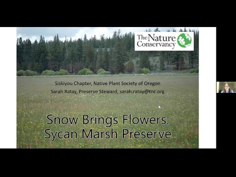 *TALK* Snow Brings Flowers: Sycan Marsh Preserve