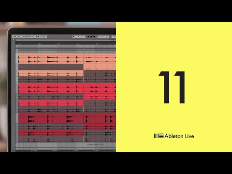 Ableton Live 11 Standard Education Version (Download, serial number only)