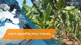 በደቡብ ክልል የመኽር ግብርና እንቅስቃሴ |#Asham_TV