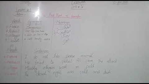 Class 5 (English), Unit #16, Lesson #1 W/S/M + W/S.