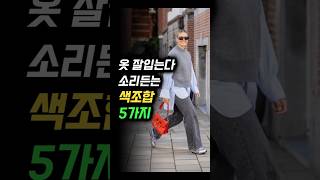 옷 잘입는다! 소리 든는 색조합 5가지