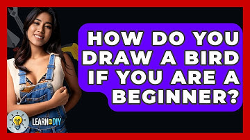 How Do You Draw A Bird If You Are A Beginner? - LearnToDIY360.com