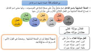 الصفة المشبهة - تاسع منهاج جديد2020