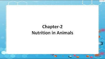 Revised Science Outlook Book 7 : Ch 2 Nutrition in Animals