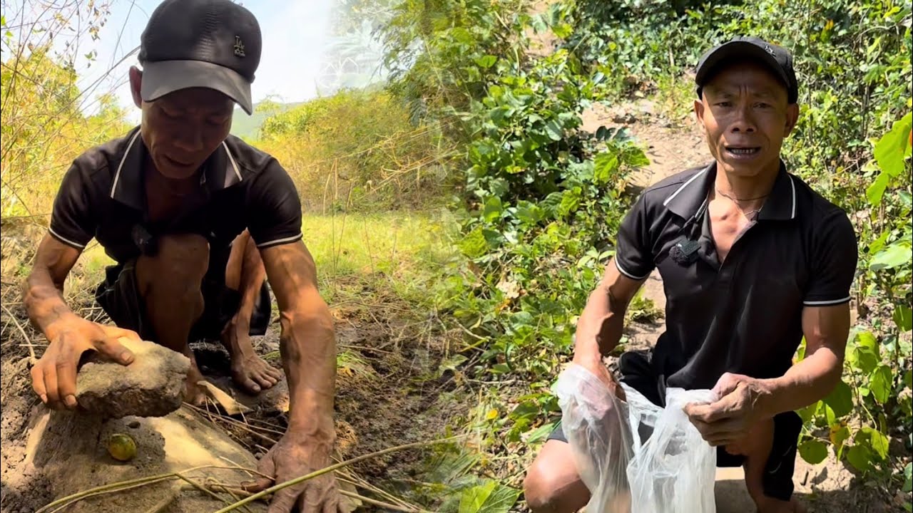 Người đàn ông nghị lực: anh có trồng một rừng đậu gián tết năm nay anh ấm no 