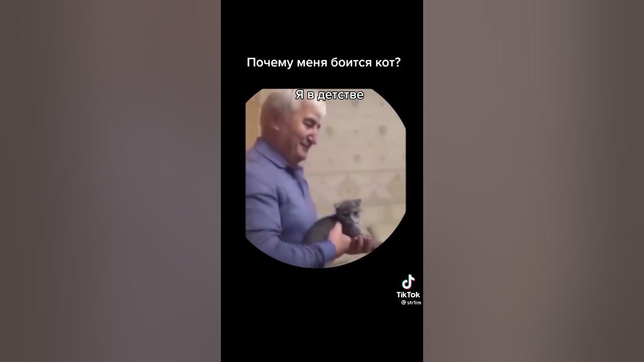 Что стало с киселечком котом из мема Man rides a hoverboard and f# cking dies YouTube