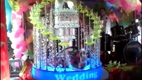 Cho thuê tháp ly rót rượu sampan