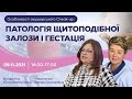 Особливості акушерського Cheak-up: патологія щитоподібної залози і гестація