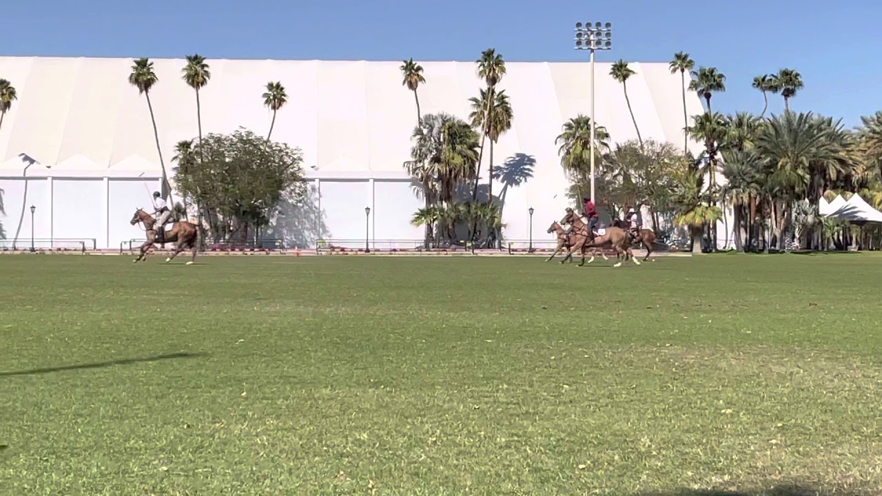 Practice Chukker 03/05/2021