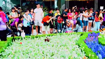 Asian People Love taking Pictures of Flowers