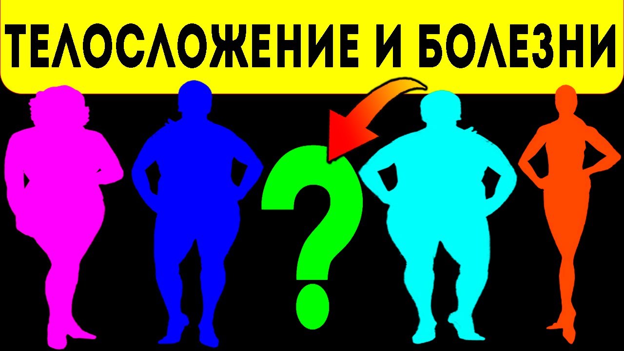 Авто с телосложением таксы