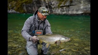 BIG BROWNS on small Flies  Fly fishing New Zealand.