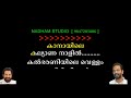 Kanayile kalyana naalil karaoke with lyrics