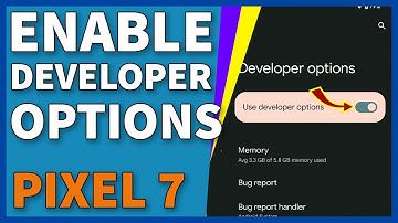 How To Enable The Developer Options On Google Pixel 7