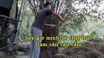 Cắm câu cá lóc đồng bằng mồi dế và cái kết # "cười ra nước mắt"!!..