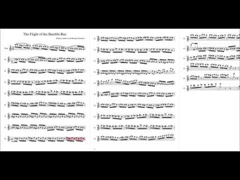 the-flight-of-the-bumble-bee-for-flute-sheet-music
