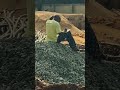 If Mondays were concrete, this is me sitting on it.