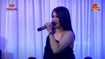 Tamu Kondangan  - aidha Gonzales - PRIMAEGA Live Gambuan Keramat Tegal