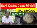 ගෙදරදිම කරදහයියා හදමුද? Karadahaiya | Ceylon Agri | Episode 111